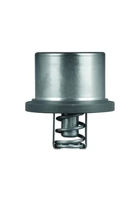 THD289 Mahle Original Termostat