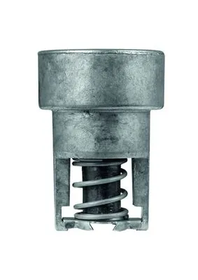 TX9882 Mahle Original Termostat