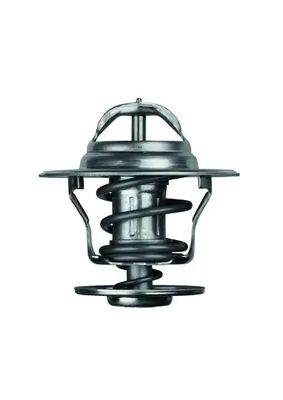 TX1387D Mahle Original