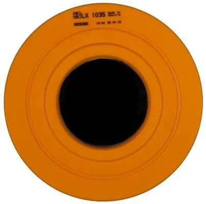 LX1035 Mahle Original