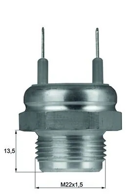TSW8D Mahle Original