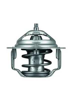TX6482 Mahle Original Termostat