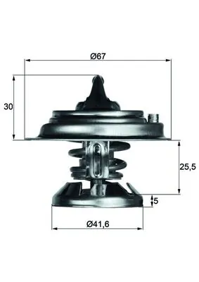 Termostat Mercedes Bus 207-310