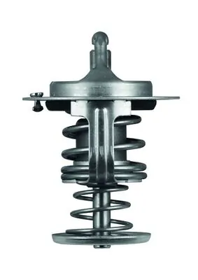 TX8280D Mahle Original Termostat