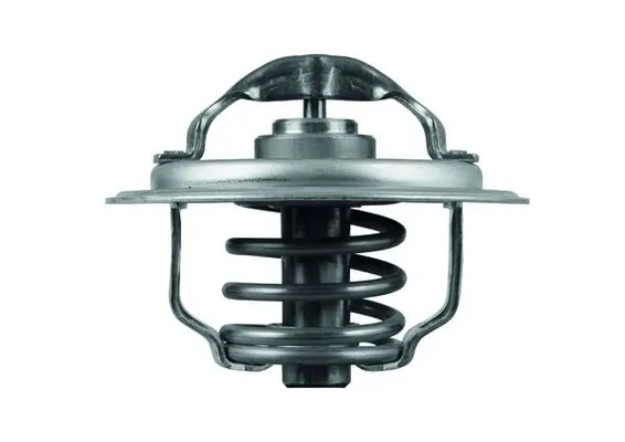 TX11187D Mahle Original Termostat