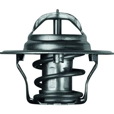 TX492D Mahle Original