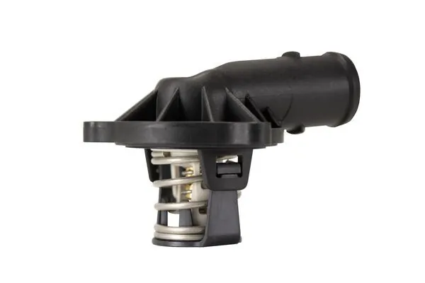 Termostat Audi A8