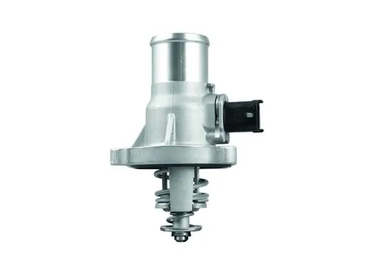 TM41105 Mahle Original