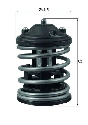 TX16387D Mahle Original