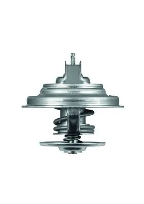 Termostat Ford Explorer