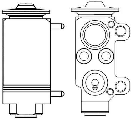 AVE56000P Mahle Original
