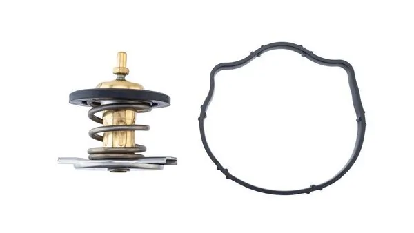 TX49487D Mahle Original