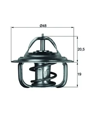 Termostat Daewoo Rezzo