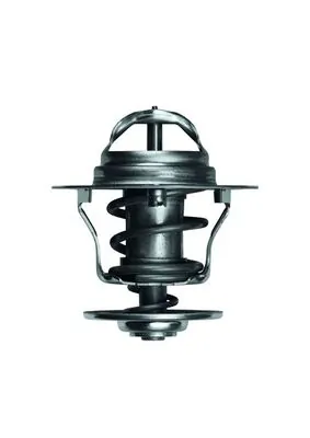 TX1288D Mahle Original