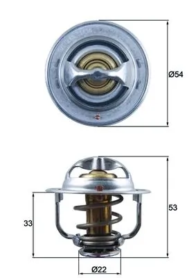 TX17989D Mahle Original Termostat