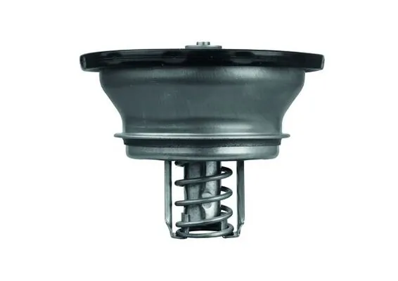 THD382 Mahle Original Termostat