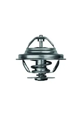 TX2080D Mahle Original Termostat