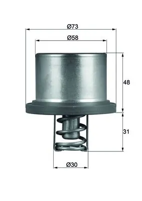THD289 Mahle Original