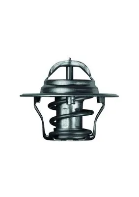 TX492D Mahle Original