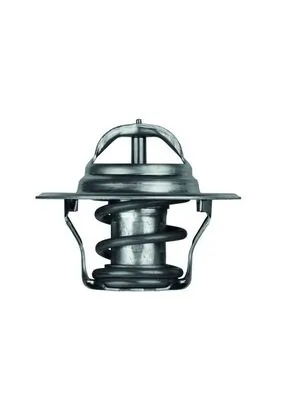 TX1487D Mahle Original