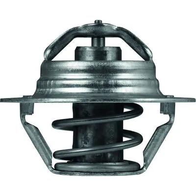 TX10089D Mahle Original