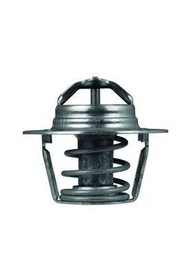 TX9189D Mahle Original Termostat