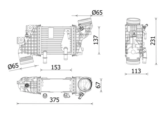 CI663000P Mahle Original