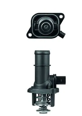 TI16105 Mahle Original