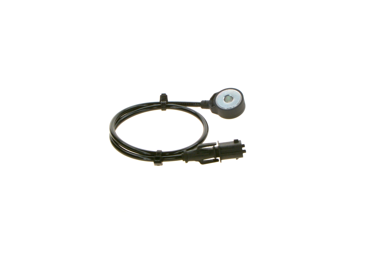 0261231144 Bosch