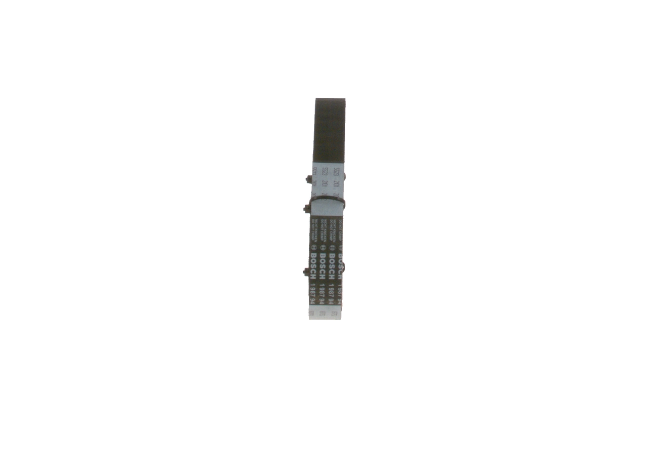 Do koszyka 1987948753 Bosch Pasek pompy wtryskowej