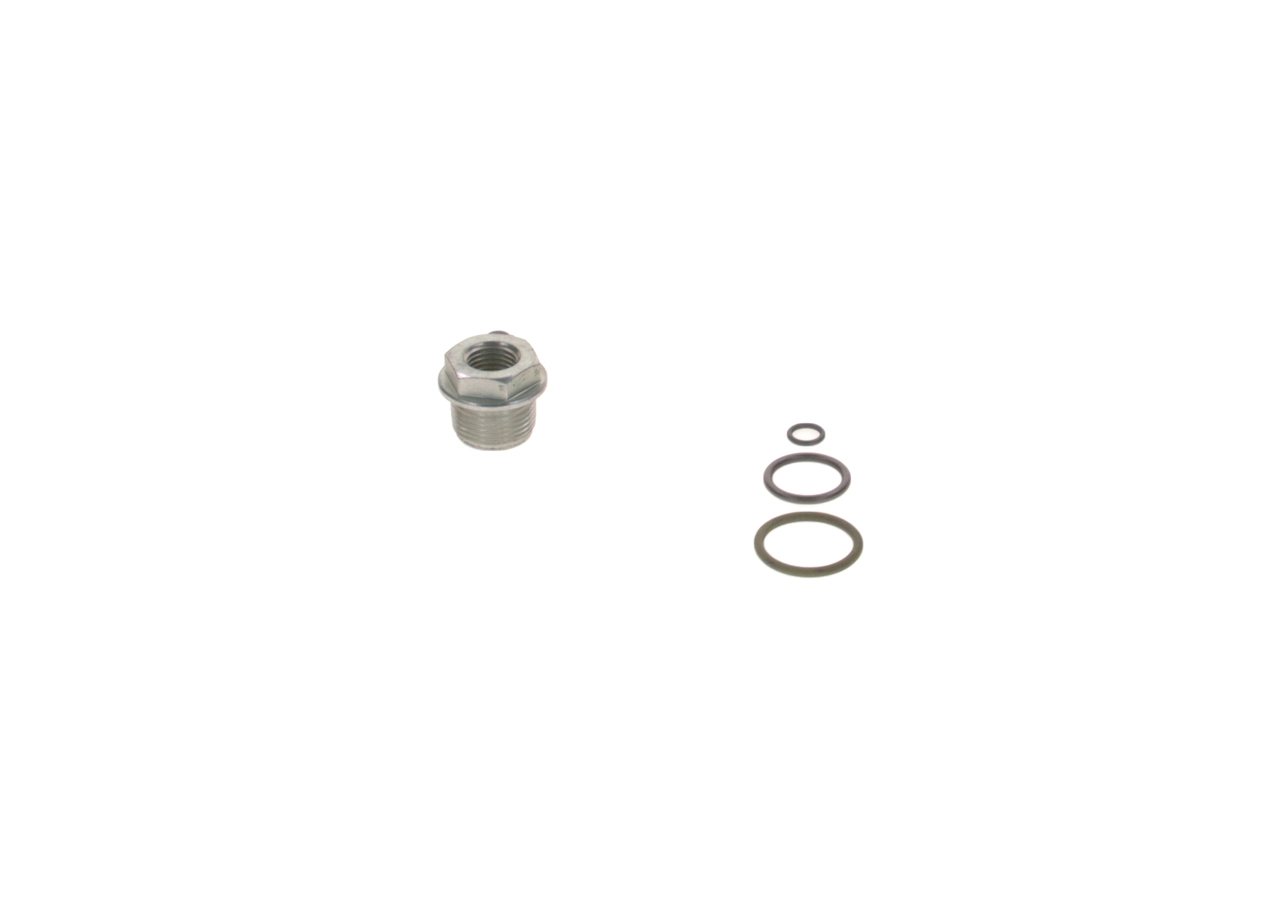 2447010043 Bosch