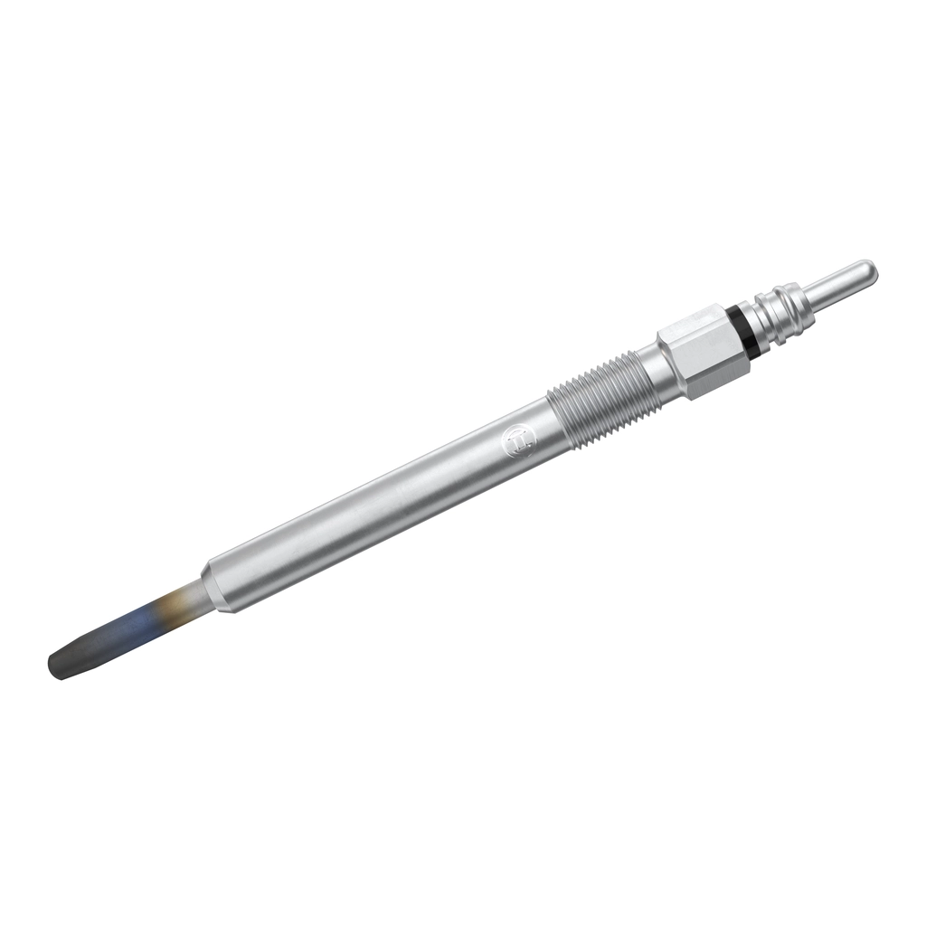 0250202038 Bosch Świeca żarowa
