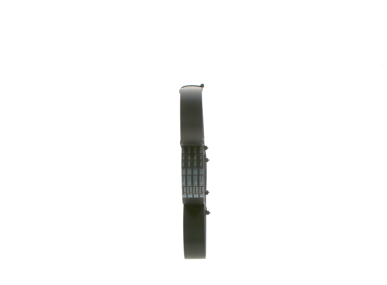 Pas napędowy mechanizmów 31110RLF003 Honda