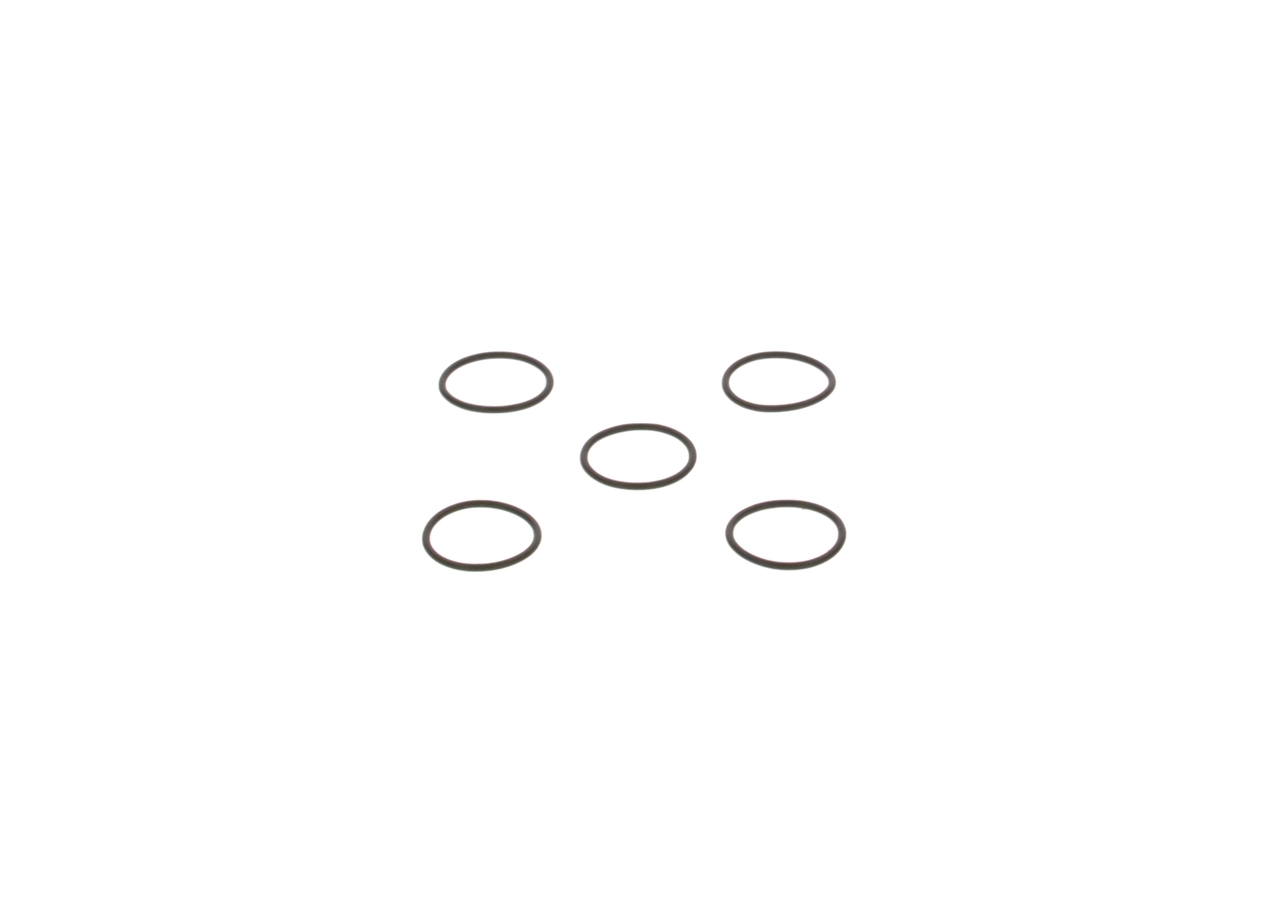 2440210026 Bosch Uszczelka pompy paliwa