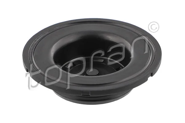 Do koszyka Zaślepka głowicy cylindrów/bloku cylindrów Volkswagen Passat B7 362