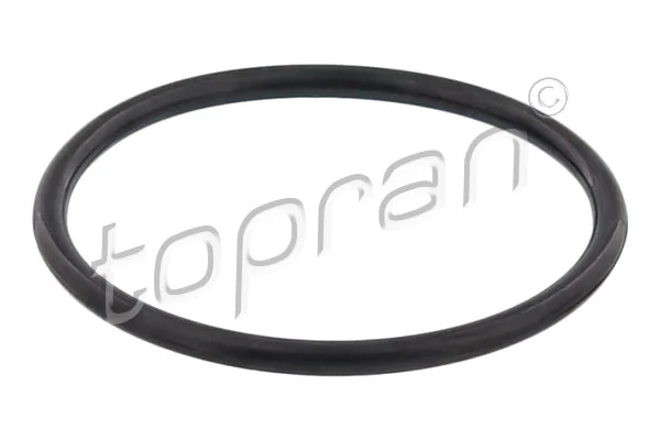 Kupić Uszczelka termostatu Volkswagen Golf VII BA5, BV5 w dobrej cenie