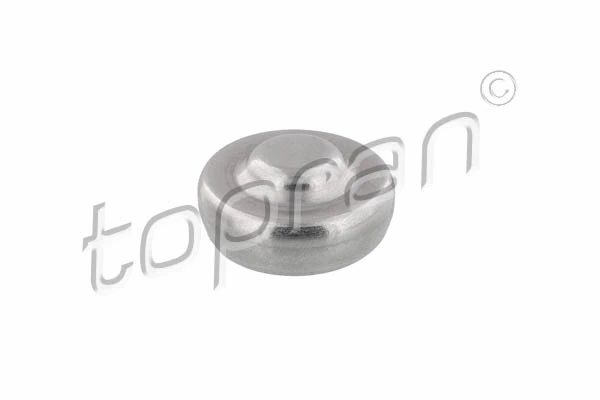 Zaślepka głowicy cylindrów/bloku cylindrów do Ford Fusion JU