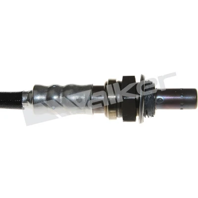 Sonda lambda, czujnik tlenu Walker 25024004 cena, od 180,45 USD