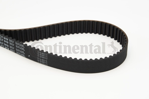 Pasek rozrządu Continental/Siemens CT919 cena, od 31,71 USD