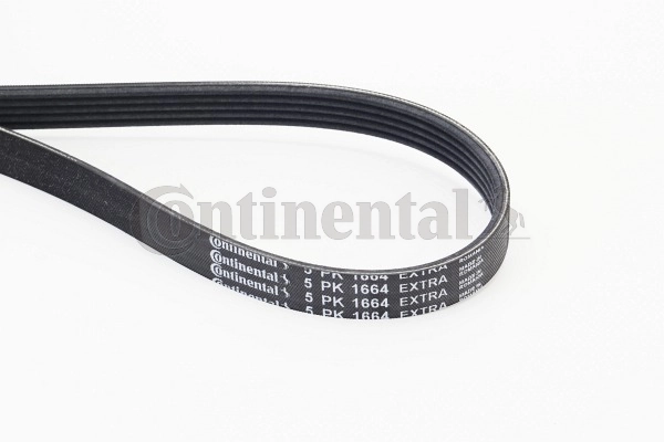 Pas napędowy mechanizmów General Motors 55594640 cena, od 21,78 USD