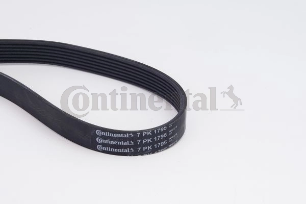7PK1795K1 Continental/Siemens Pasek napędowy mechanizmów, zestaw