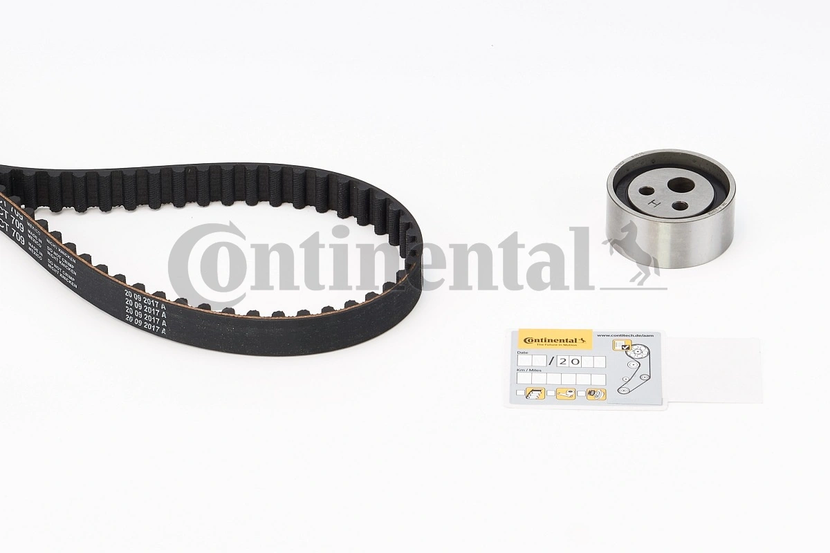 CT709K1 Continental/Siemens