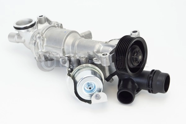 WPS3189 Continental/Siemens
