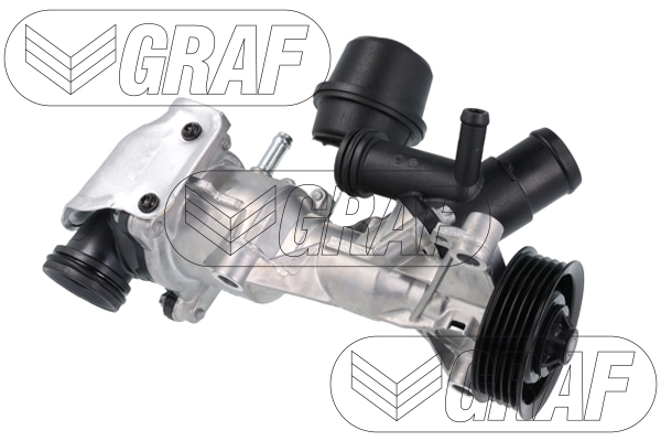 PA1492 Graf