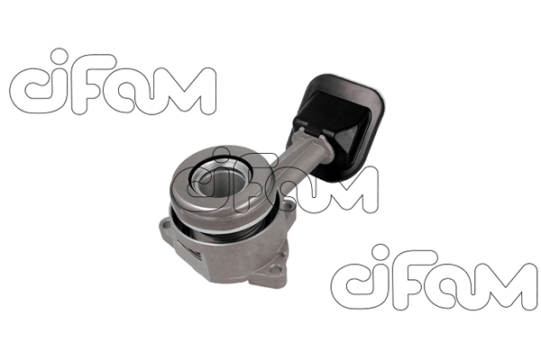 506032 Cifam
