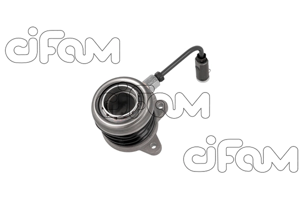 506056 Cifam