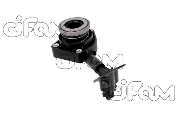 506007 Cifam