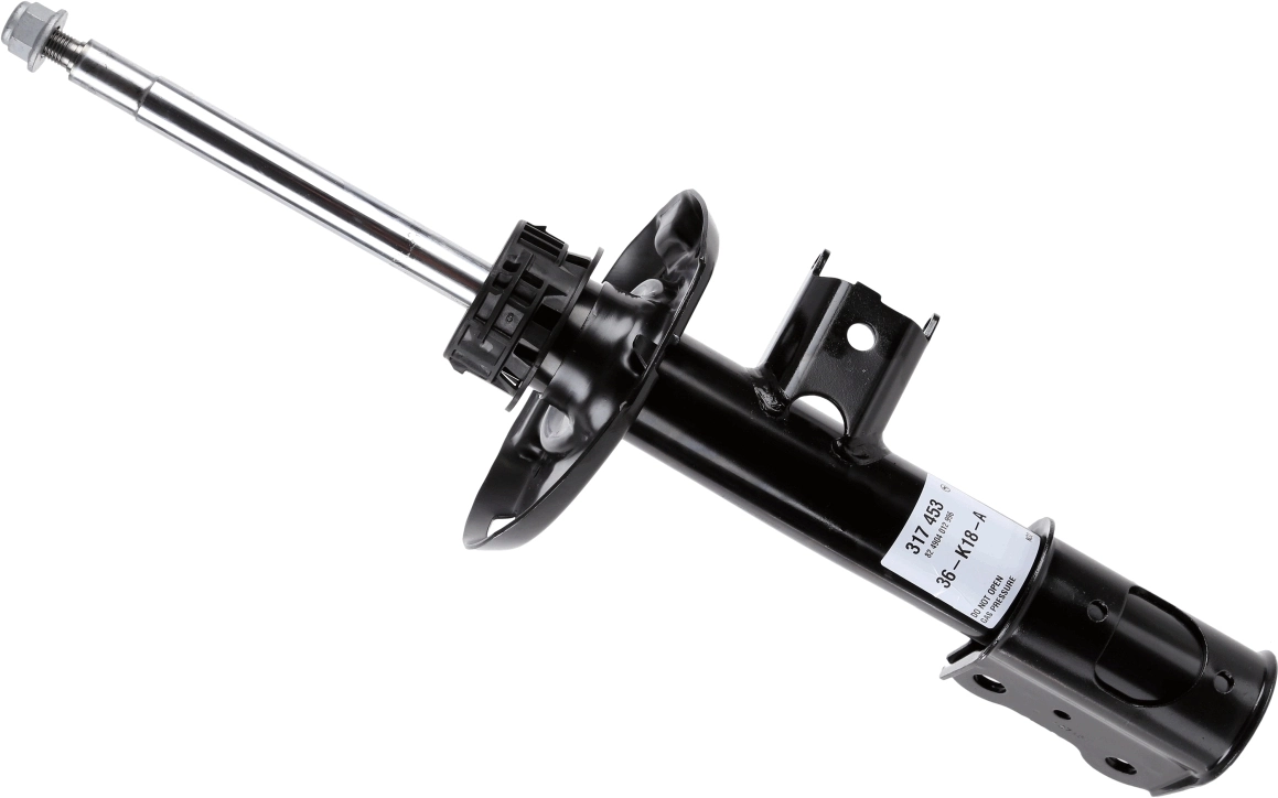 317453 Sachs