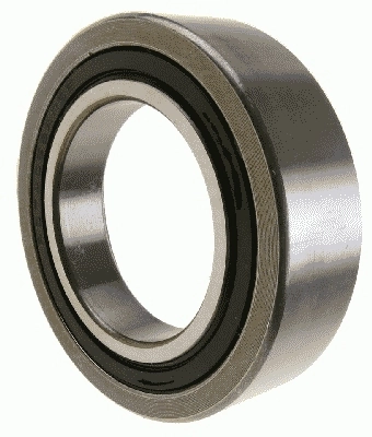 1863600109 Sachs