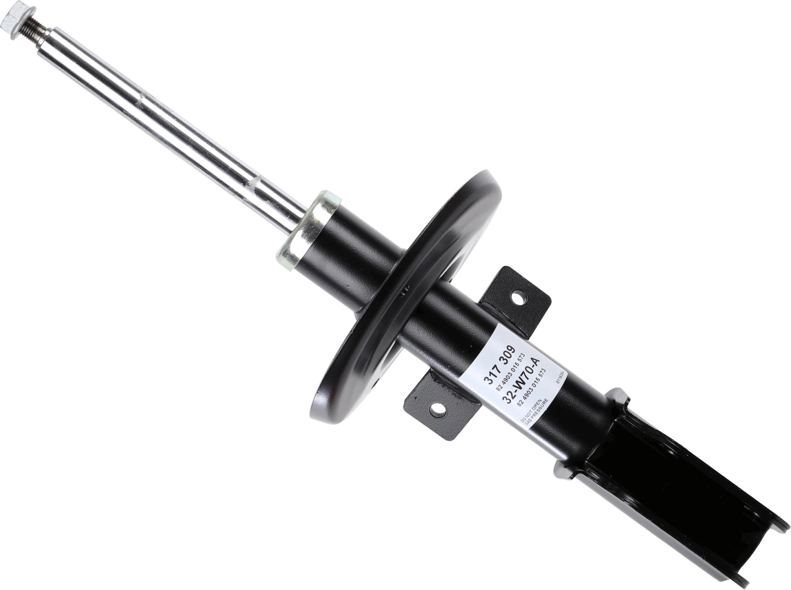 317309 Sachs